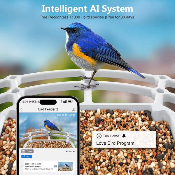 Smart Bird Feeder with camera - unimarketstore.com