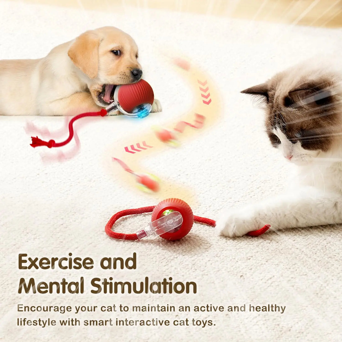 Interactive Smart Cat Toy Ball