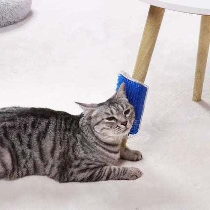 Cat lying on a white floor with a blue pet grooming brush near its paw