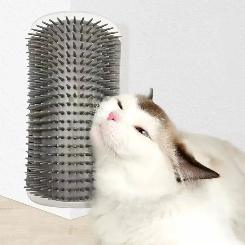 Cat interacting with a grooming brush on a white background