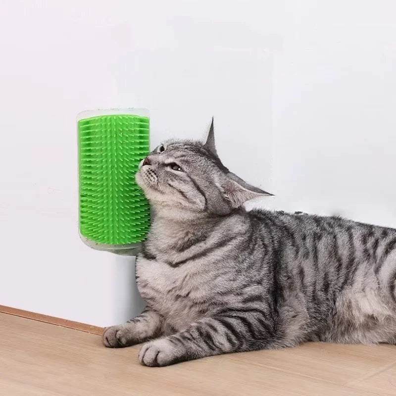 Cat interacting with a green cylindrical pet toy on a light wooden floor.
