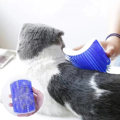 Person grooming a cat with a blue silicone brush on a white background